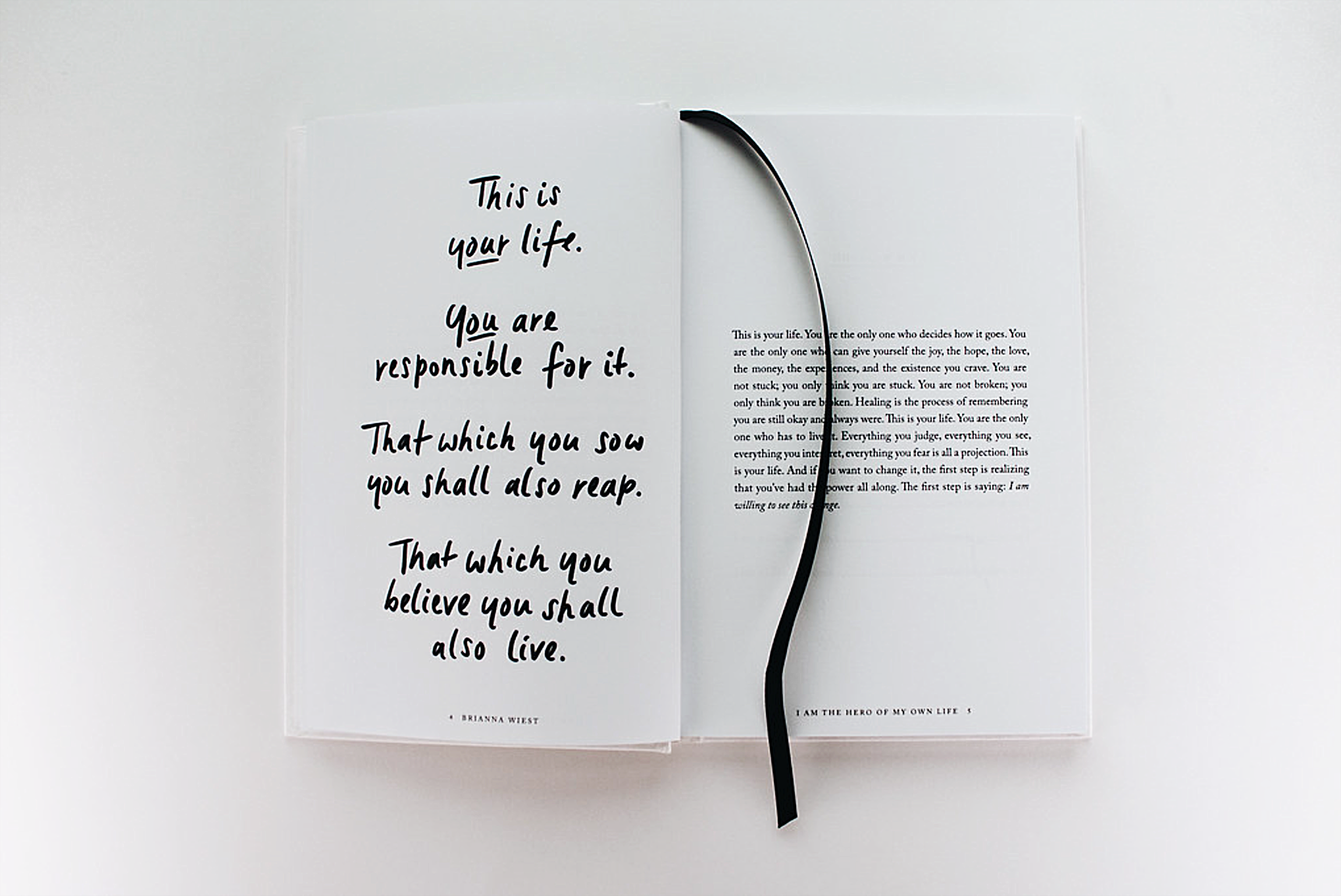 I am the Hero of My Own Life - Brianna Wiest - Book
