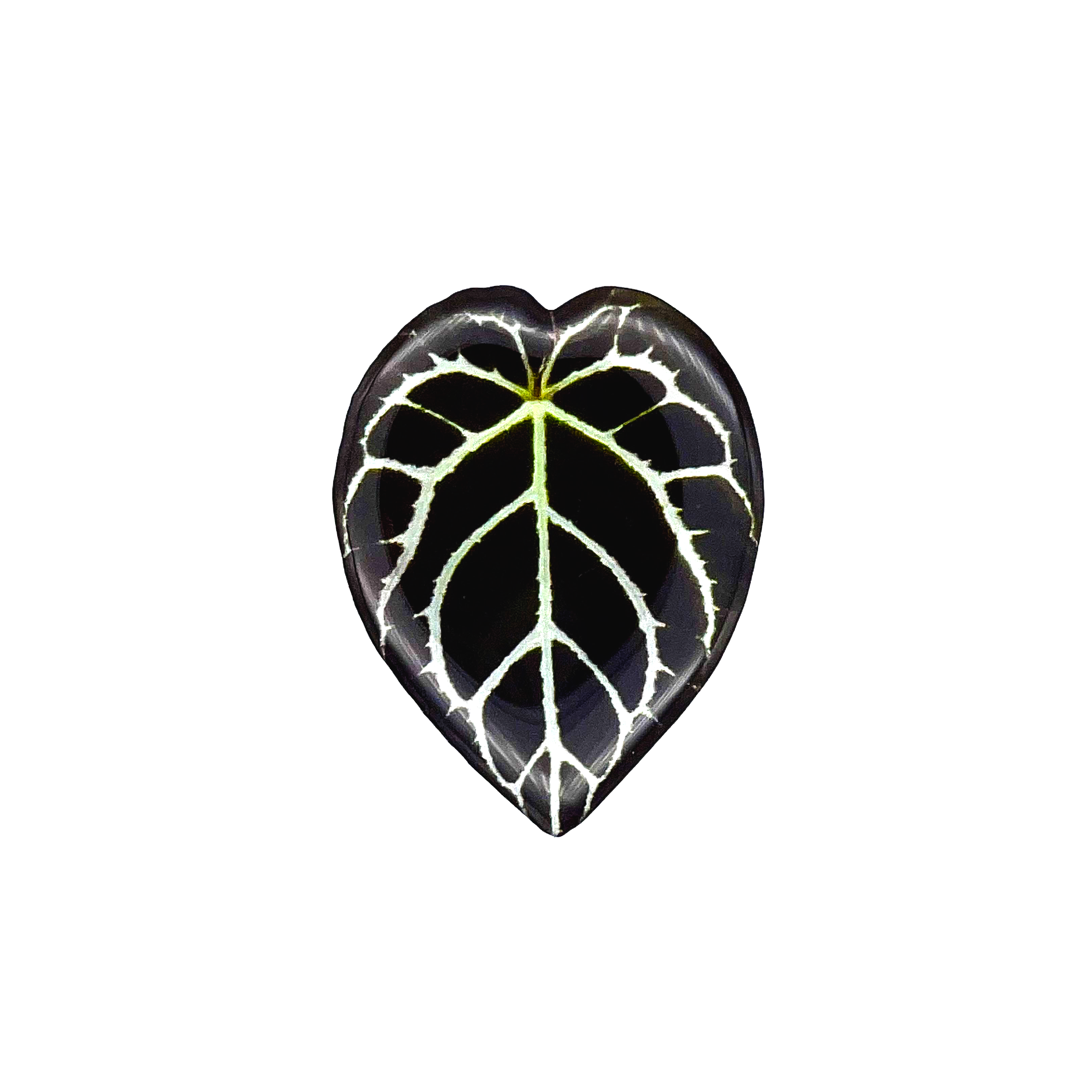 Realistic Monstera Plant Phone Grip and Stand